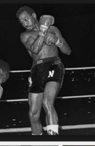 Ringwise Full Catalog - RingWise Boxing - Boxing DVD's - Boxing Videos - Memorabilia